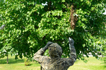 Fototapete bei efototapeten.de bestellen   