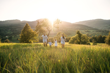Young family with two small children walking on meadow outdoors at sunset.