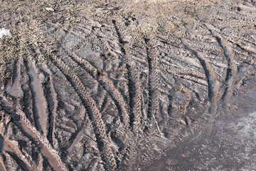 Dirty bike tracks on the ground in springtime.
