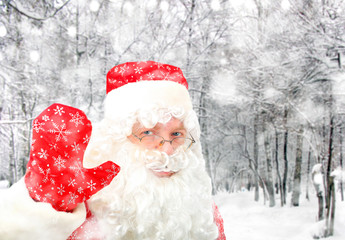 Santa Claus in Winter Forest
