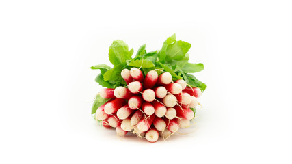 Bunch of radishes on a white background, isolated