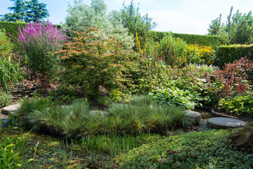english garden with background of wild flowers