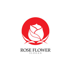 Beauty rose flower vector icon design template