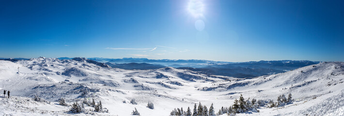 Naklejka na ściany i meble Panoramic shot from the top of the mountain in winter season. Everything is covered in snow and looks beautiful. The day is sunny and the sky is clear and blue.