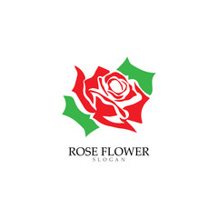 Beauty rose flower vector icon design template