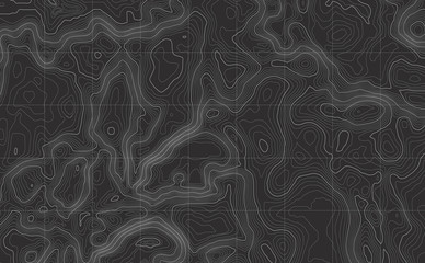 Background of the topographic map. Topographic map lines, contour background. Geographic abstract grid. EPS 10 vector illustration.