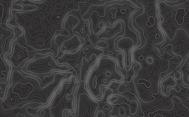 Background of the topographic map. Topographic map lines, contour background. Geographic abstract grid. EPS 10 vector illustration. - obrazy, fototapety, plakaty