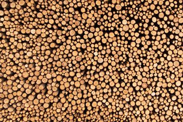 round logs stacked in a pile