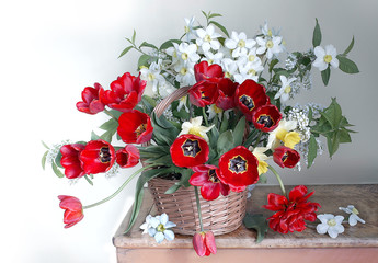 Obraz na płótnie Canvas Spring flowers.Bouquet of yellow daffodils and red tulips in a vase on a white background.