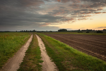 Fototapeta na wymiar Dirt road next to plowed field, horizon and gray clouds on the sky