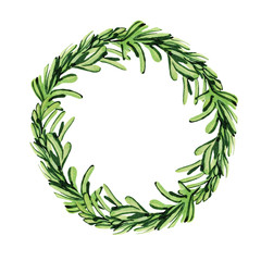 Wreath of rosemary twigs painted by watercolor isolated on a white background. Suitable for the design of fabrics, wallpaper, wedding printing, menus, culinary printing.