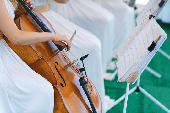 woman playing violing at concert