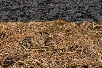 pile of dry straw with blurred soil background.