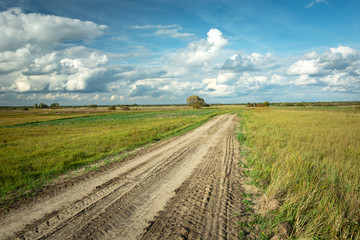 Fototapeta na wymiar Traces of wheels on a sandy road through green fields, horizon and white clouds on the sky
