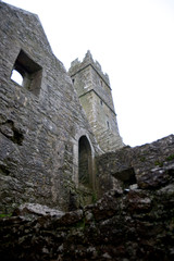 Fototapeta na wymiar Looking up to the tower of Quin Abbey, Ireland