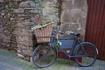 Old bicycle with basket and flowers