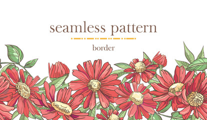 Seamless border pattern with sketch colorful blossoms. Seamless stripe with hand drawn camomile and leaves.