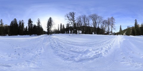 Winter Landscape HDRI Panorama