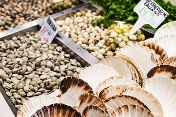 showcase of seafood in the Mercat de la Boqueria, Barcelona