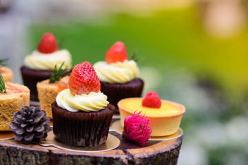 cake in the garden