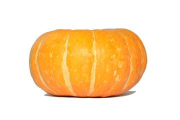 yellow pumpkin on a white background