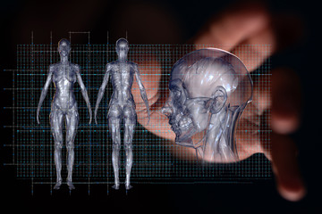 interface as medical network concept