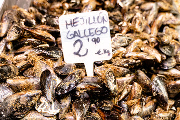 showcase of mollusc in the Mercat de la Boqueria, Barcelona