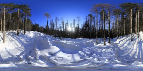 Winter 360 Panorama in Tatra Mountains