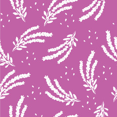 Fototapeta na wymiar white lavender on violet background.