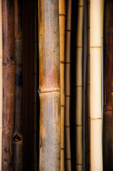 Brown and multicolored bamboo pattern