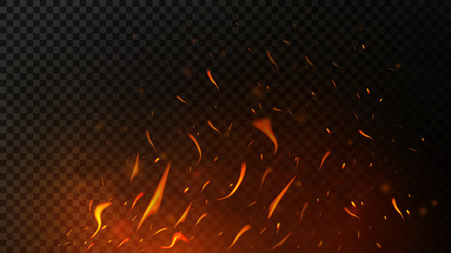Fire Sparks On Dark Transparent Background. Flying Up Sparks, Burning Fire Particles With Smoke Texture. Realistic Flame Effect