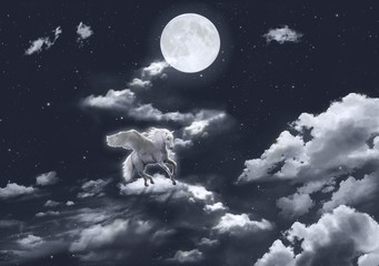 Obraz na płótnie Canvas White winged horse flying in the sky. 3D rendering