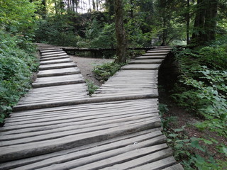 Obraz premium wooden bridge in the forest