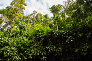 Randonnée Cascade saut de la Lézarde Basse Terre Guadeloupe France