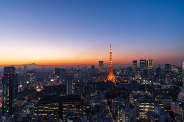 Fototapeta na wymiar Tokyo tower and skyscrapers at magic hour