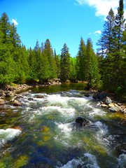 North America, Canada, Province of Quebec, Gaspésie National Park, Chic-Chocs Mountains, La Lucarne Trail in the Mont-Albert area