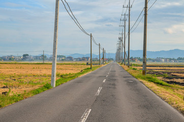 Fototapeta premium 滋賀県の田舎風景(メロン街道)