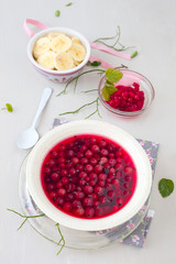 Finnische Beeren- Suppe