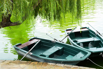 Two boats with oars and parked near the lake in the park with emerald water under the falling branches of a beautiful tree on a summer day