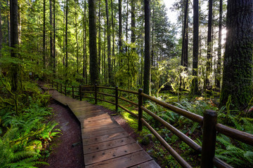 Fototapeta premium Lynn Canyon Park, North Vancouver, British Columbia, Canada. Beautiful Wooden Path in the Rainforest during a wet and rainy day with sunny break.