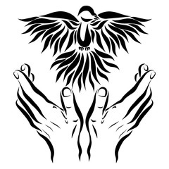 Obraz premium bird descending to the hands of man