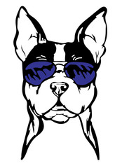 Stylized illustration of a dog head in blue glasses
