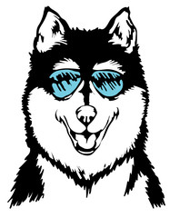Stylized illustration of a Husky dog ​​head in blue glasses