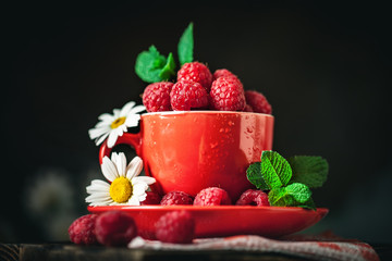 Raspberry in a red cup with chamomile and leaves on a dark background. Summer and healthy food concept. Selective focus.