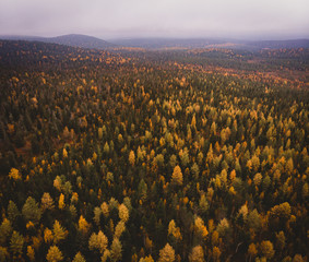autumn colors