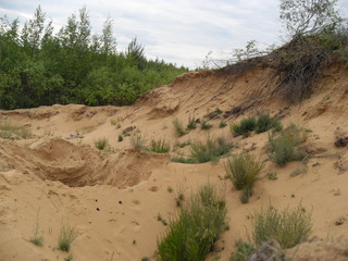 VLUU L210  / Samsung L210