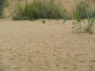 VLUU L210  / Samsung L210