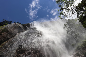 geyser in yellowstone national park