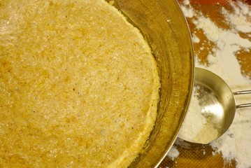 Proofing yeast dough in a bowl for miracle overnight no knead bread