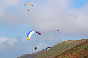 Paragliders flying above Rhossili	